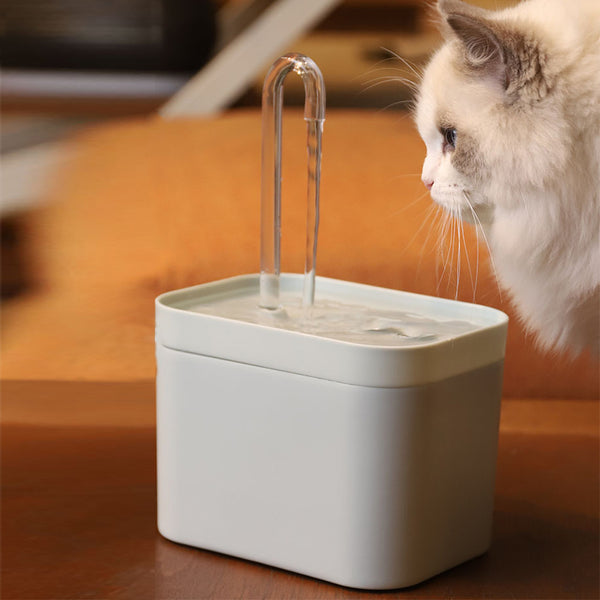 Cette superbe fontaine à eau avec filtre automatique permettra a votre chien ou chat de boire quand il veut.  Elle n'est pas très grand et donc facile à mettre partout dans la maison. 
