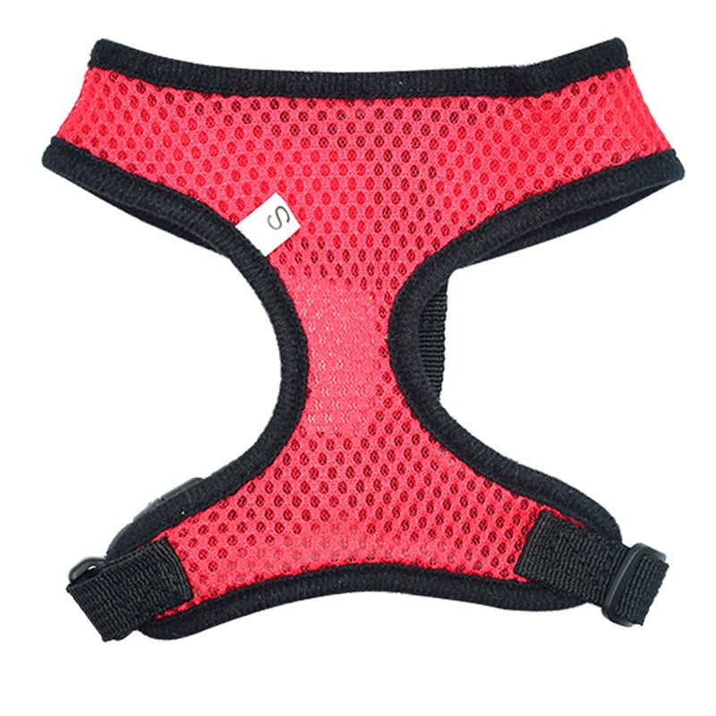 Harnais pour chien, chat et autres | Harness