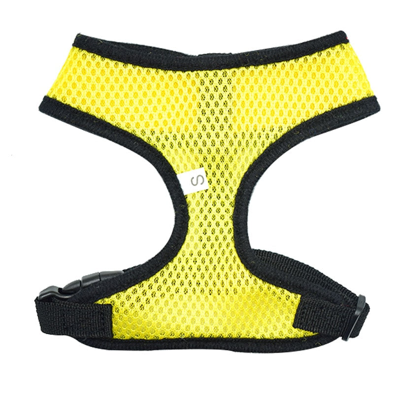 Harnais pour chien, chat et autres | Harness