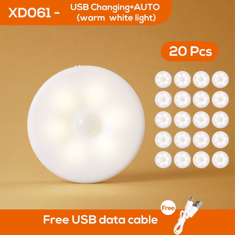 LED de décoration vingt pièces