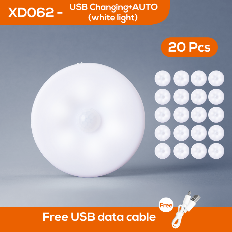 LED de décoration vingt pièces couleur blanche