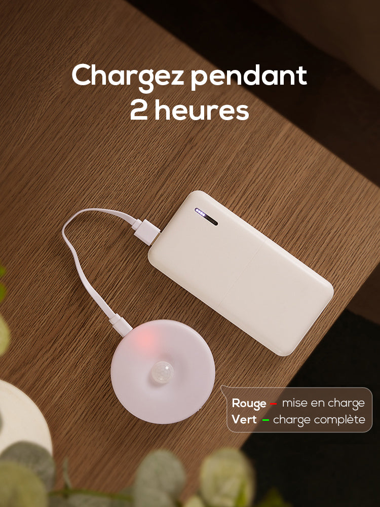 LED de décoration dix pièces couleur blanche charge USB