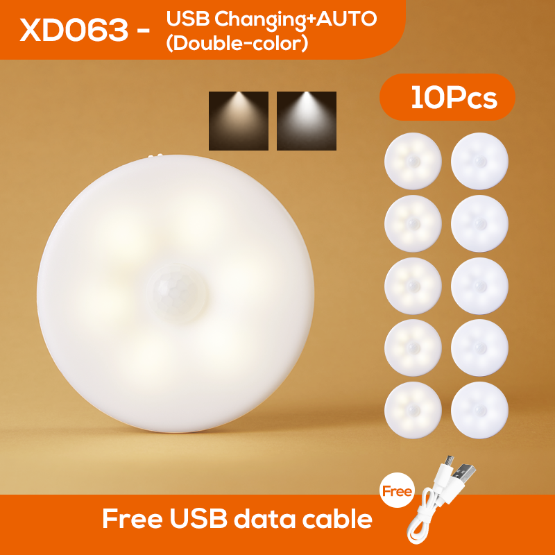 LED de décoration dix pièces double couleur blanche