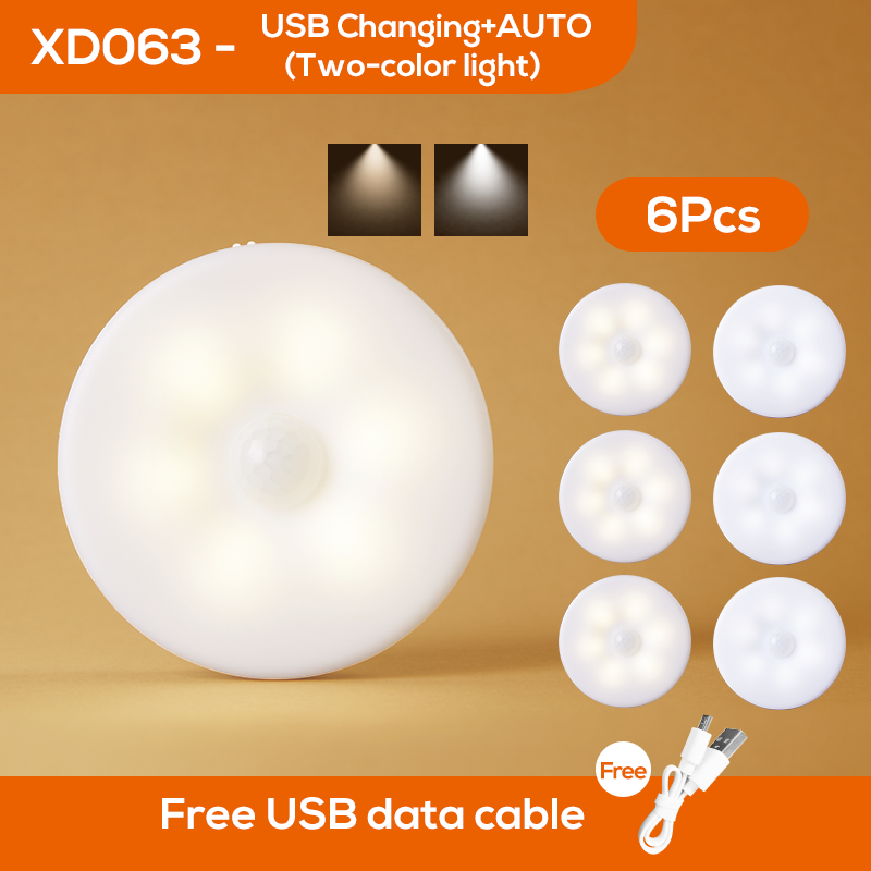 LED de décoration six pièces deux couleurs blanche
