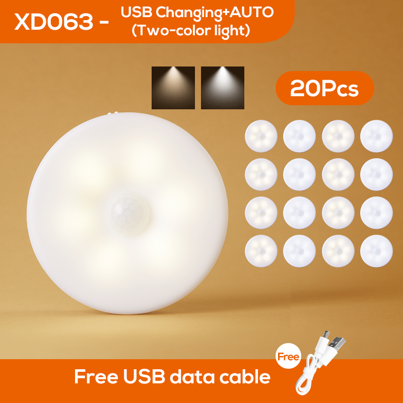 LED de décoration vingt pièces deux couleurs