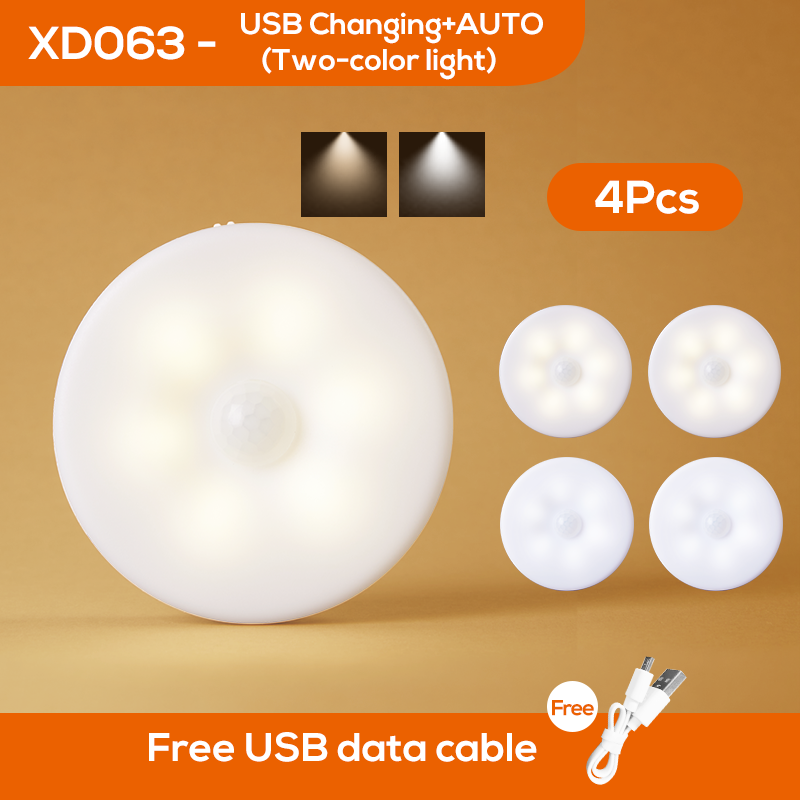 LED de décorationquatres pièces deux couleurs blanche